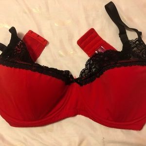 Red and Black Pus-Size Bra with Convertible Lace